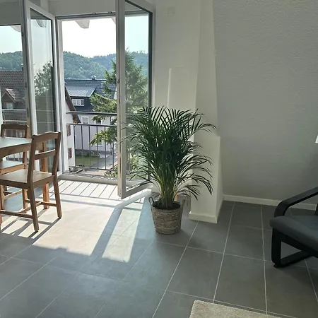 Apartment Seescheune 150m Vom Ufer Entfernt Bodman-Ludwigshafen
